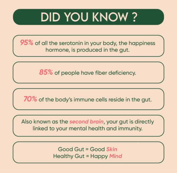 Gut Health – Prebiotic Drink Mix (Natural Guava / Peach Flavor) - Image 11
