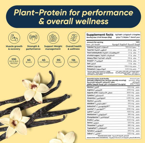 Rite Plant Protein – Vegan Protein Drink Mix - Image 9